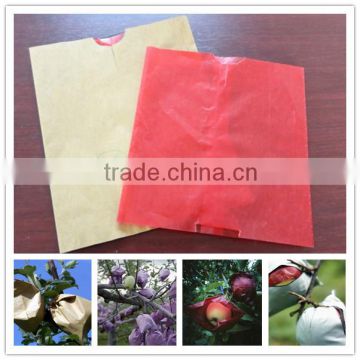 Three layer apple growing paper bag Inner bag could separate