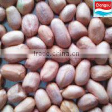 organic peanut kernels 40/50