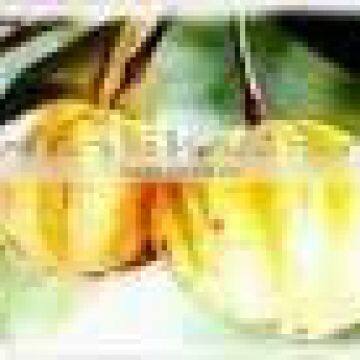 Garcinia Cambogia