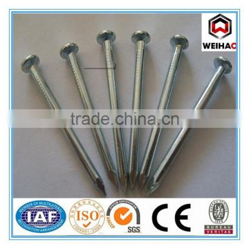 galvanized hardened concrete steel nails/stainless steel concrete nail