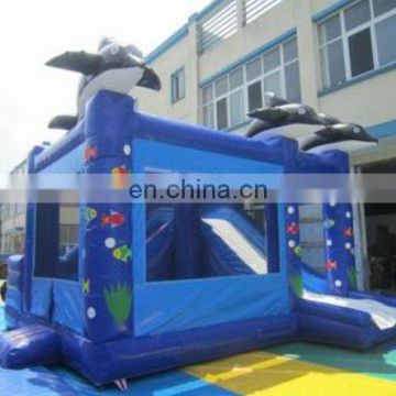 Inflatable Ocean Slide Pool Combo