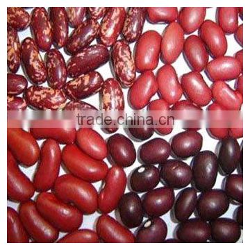 red kidney bean/square bean 2010