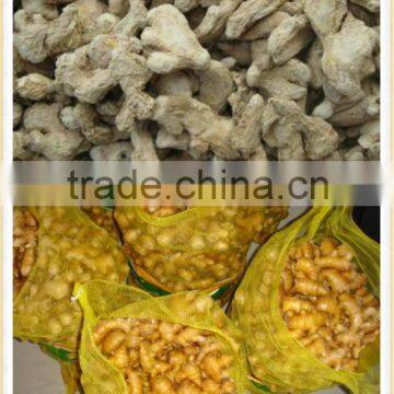 2013 chinese dried ginger for sale