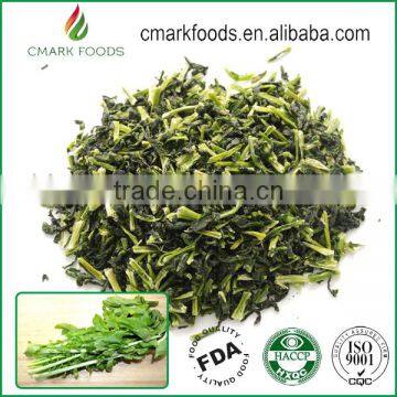 Air Dried Spinach leaf Dehydrated Coriander Leaves