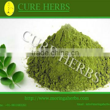 Manufacturer of moringa leaf powder