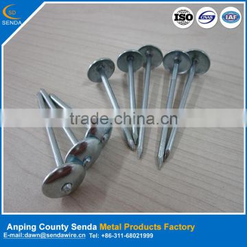 Anping galvanized roofing nails / high quality umbrella head nails
