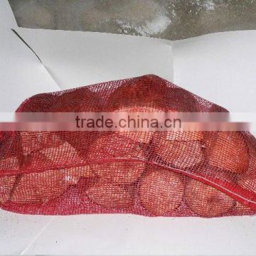 2012 top popular products mesh bag for firewood