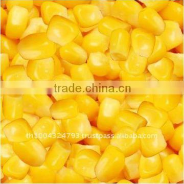 Corn Kernel in Brine