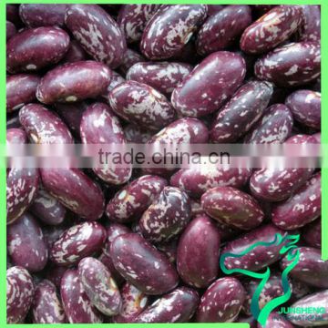Chinese Purple Speckled Kidney Beans Certificate Of Origin China