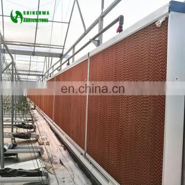 Cheapest Agricultural Greenhouse Cooling Wet Curtain With Good Quality