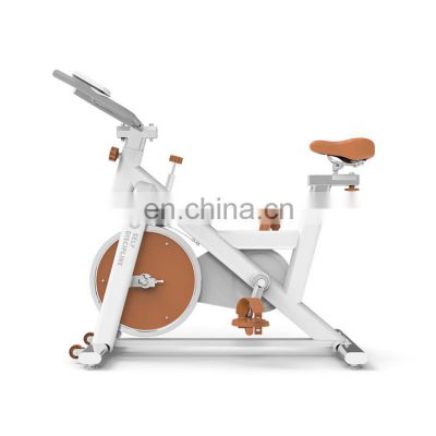 SD-S79 Hot sale Fitness equipment cardio master indoor spin bike