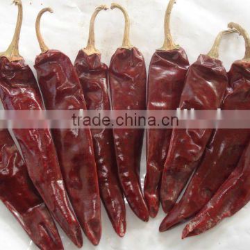wholesale top quality hot chillies