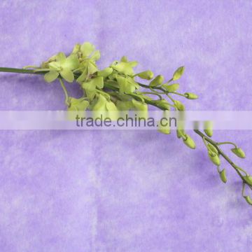 Fragrant aroma factory direct decorated autumn imperial orchid