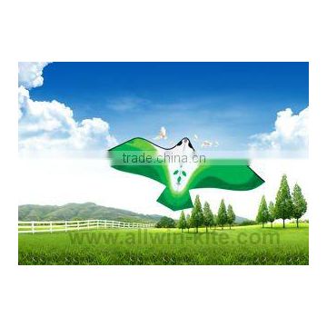 Green Bird Kites