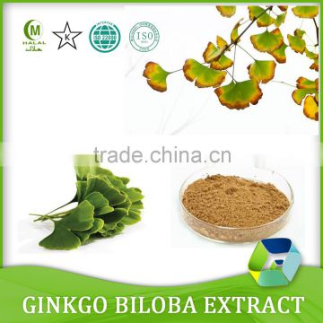 Pure Natural Ginkgo Biloba Extract 24/6, Ginkgo biloba P.E.