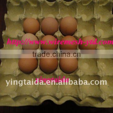 paper egg tray factory