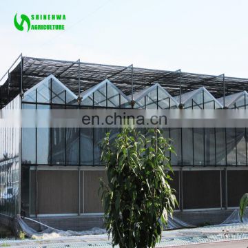 China High Quality Farming Mushroom Glass Greenhouse