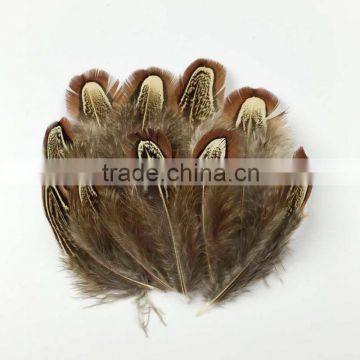 wholesale feather suppliers brown pheasant feathers sale