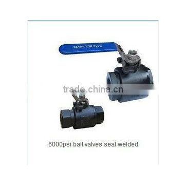2-PC Seal welded Ball Valves of 6000PSI