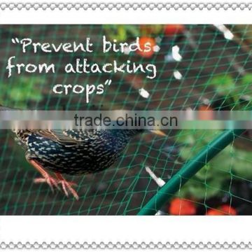 green agriculture netting