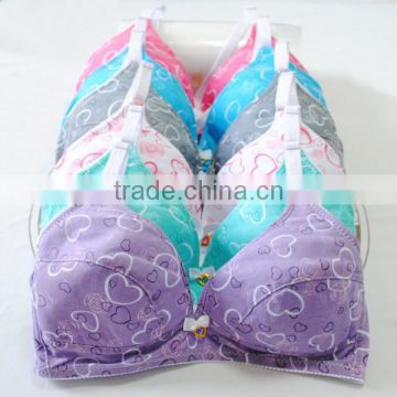 2015 new arrival hot selling Cotton Plus Size Training Bra