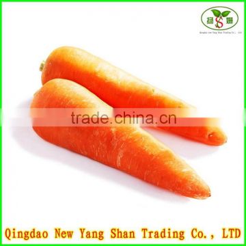 2014 Fresh Carrots/Carrot exporters/carrot price