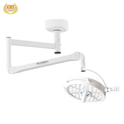 108W LED Plastic Surgery Veterinary Medical Oral Implants Ceiling Shadowless Operation Light Lamp