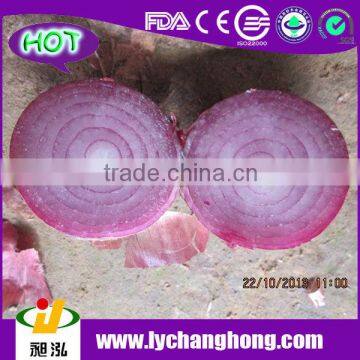 Fresh Onion Wholesale Price