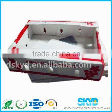 pp material flexible corrugated plastic box for fruit and vegetable