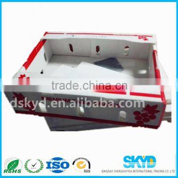 Corrugated Plastic Box for vegetable harvesting crates