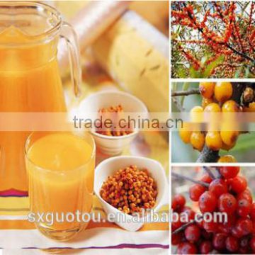 best price of 100% nature green seabuckthorn juice concentrate