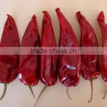 Grade A new crop Jinta Chili/ Jinta Pepper