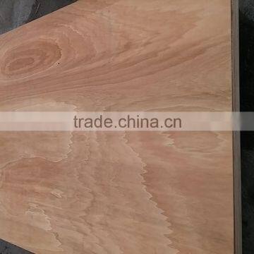 Acacia plywood