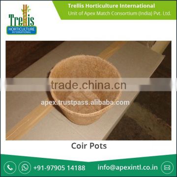 Superior Quality 100% Natural Biodegradable Coir Pots for Wholesale Buyer