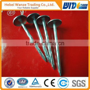 Twisted shank or plain shank Galvanized umbrella head Roofing nails