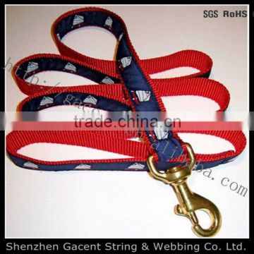 small dog collar and leash