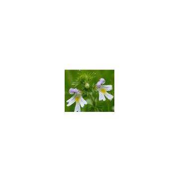 Eyebright plant extract