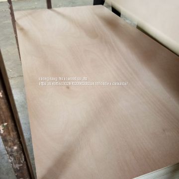poplar core okoume plywood from Fushi Wood Group