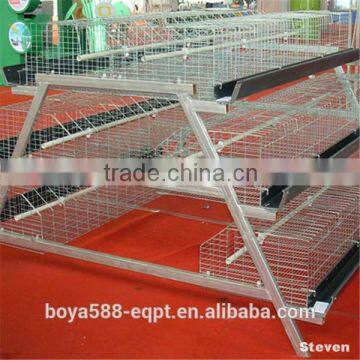 Modern chicken house advanced broiler breeding cage