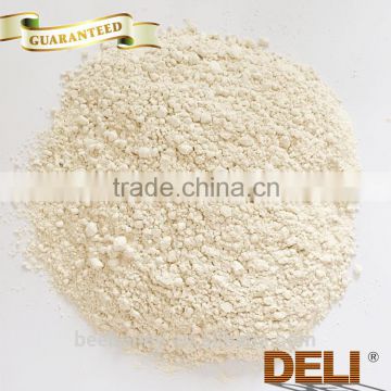 Halal Quality Famous Brands Bodybuilding Rice Protein Powder