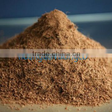 Cocopeat for sale