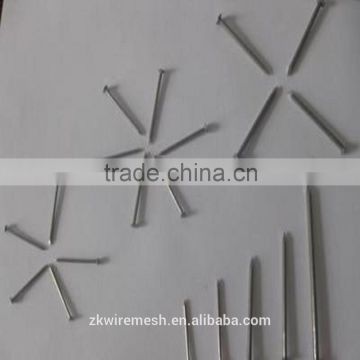 factory directly sale common nail and steel nail