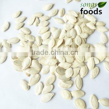 Shineskin high quality Pumpkin Seeds suppliers