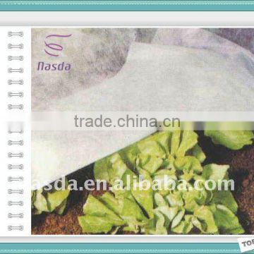PP non woven cloth for growing plant