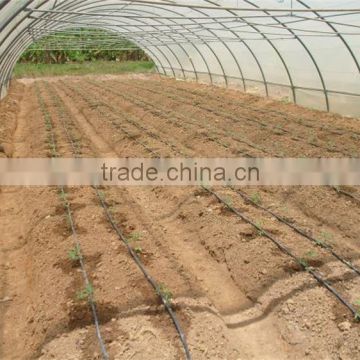 Low cost Polytunnel Greenhouse For