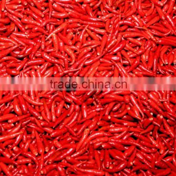 Best Quality Fresh Hot Red Chili Pepper from Vietnam