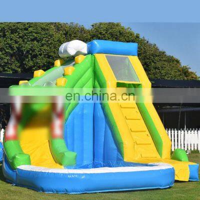 Chinese manufacture amusement park swimming pool double water slide inflatable