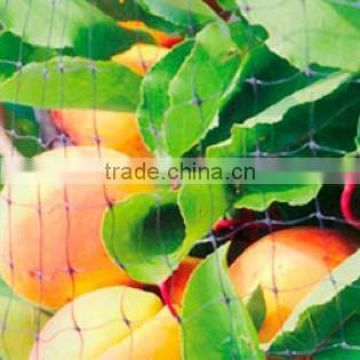 Orchard HDPE bird netting / anti bird netting / agricultural net