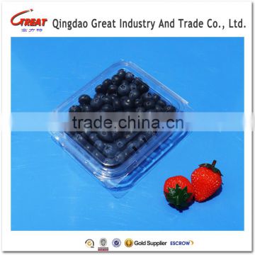 Clear Disposable Food Grade Pet Plastic Fruit Blueberry Container