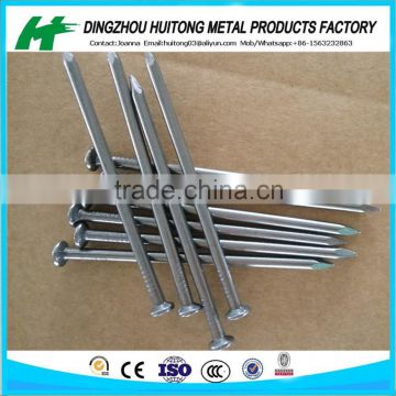 high quality common wire nails from factory